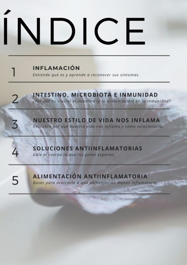 Índice Ebook Intestino, microbiota e inflamación. Las claves de la inmunidad.